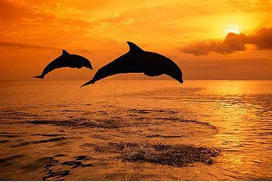 恐怖冒险游戏《裂口女》上架Steam 预告及截图赏