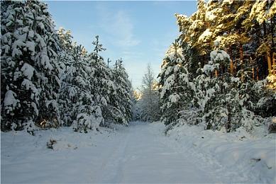 VR游戏《寻宠奇缘》登陆奇遇3，在童话中追溯真善美