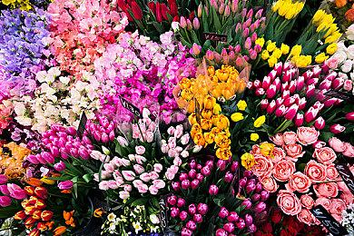 《漫威金刚狼》首席动画师暗示游戏动作捕捉录制即将开始